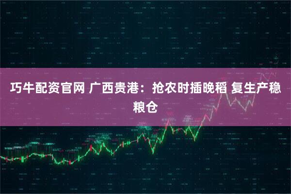 巧牛配资官网 广西贵港:抢农时插晚稻 复生产稳粮仓